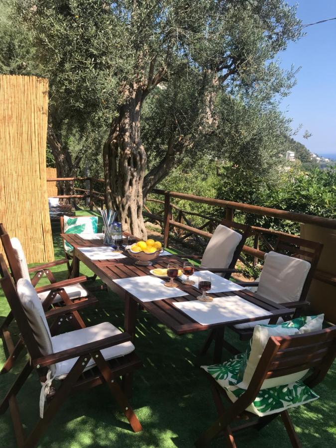 Maison Don Rafe' بوسيتانو المظهر الخارجي الصورة