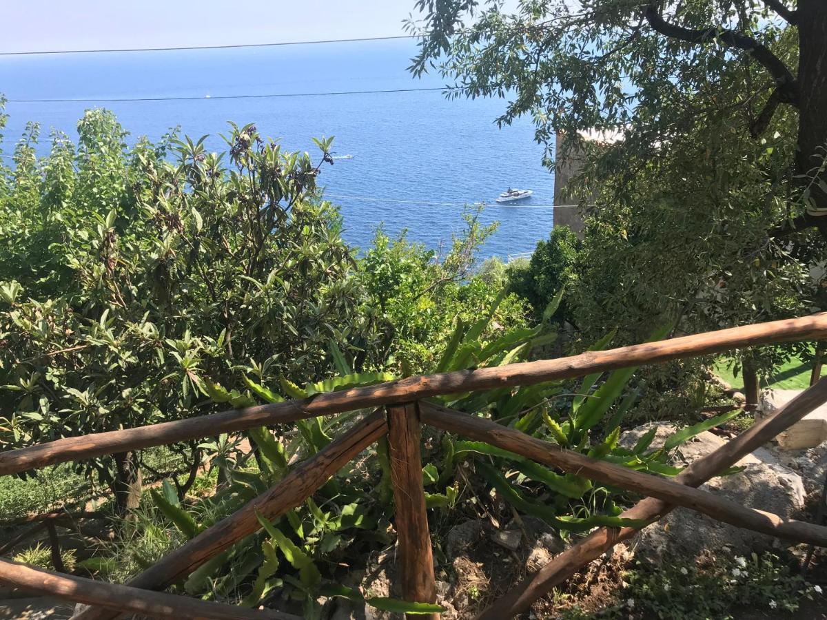 Maison Don Rafe' بوسيتانو المظهر الخارجي الصورة